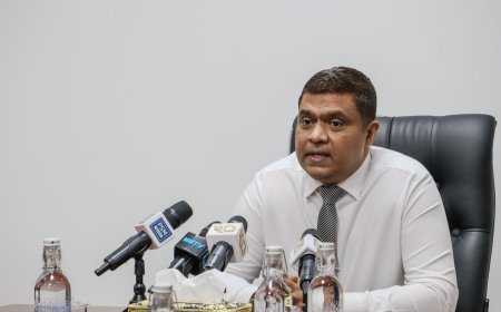 މިނިސްޓަރު އަމީނަށް އިތުބާރު ނެތް ކަމަށް މަޖިލީހުން ފާހެއް ނުވި