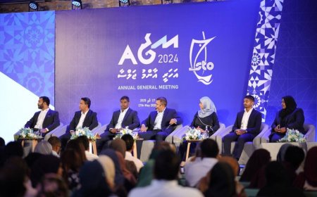 އަހަރީ ޖަލްސާ ނުނިމެނީސް ހިއްސާދާރުންނަށް ފައިދާ ޖަމާވެއްޖެ