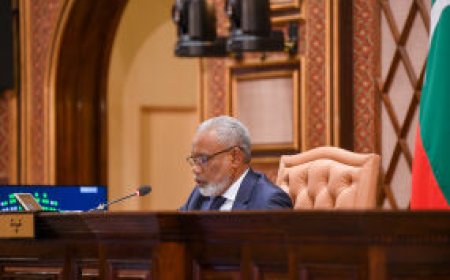 ކައުންސިލަރުންގެ އަދަދު މަދުކުރުމާބެހޭ ގަރާރު ބަލައިގަނެ ކޮމިޓީއަށް