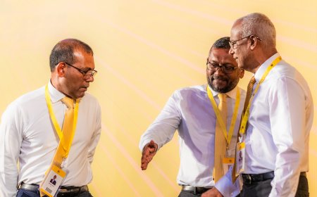 MDP welcomes back the former president Nasheed and the Democrats
