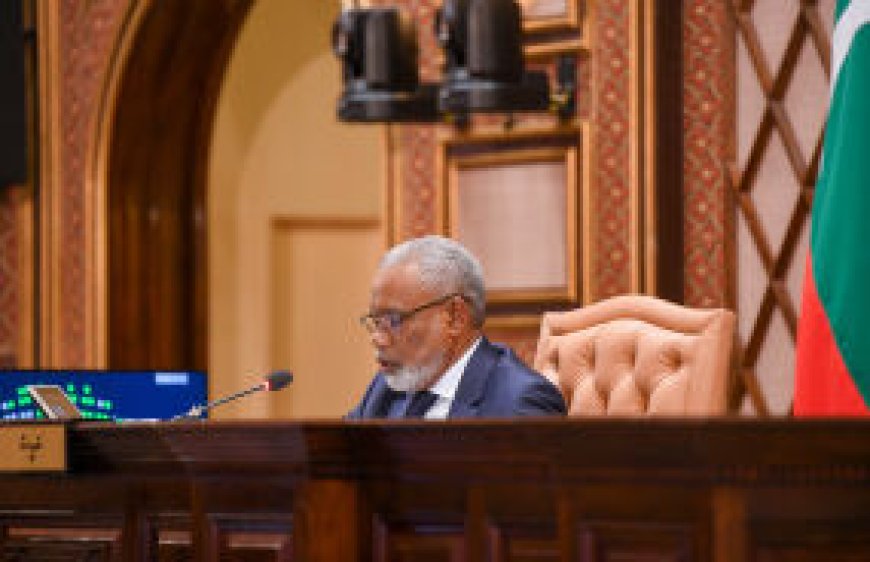 ކައުންސިލަރުންގެ އަދަދު މަދުކުރުމާބެހޭ ގަރާރު ބަލައިގަނެ ކޮމިޓީއަށް