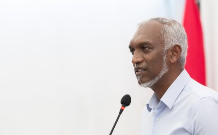 ފަރުމުލި މާފަރުގެ އިހްތިސާސުން ވަކިކޮށްފި