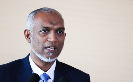 ފީނަން ފޭބި ކުއްޖާ ނިޔާވި ހަބަރު އެހީ ނުތަނަވަސް އިހްސާސްތަކަކާއެކު: ރައީސް
