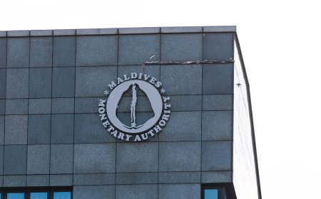 MVR 30 Billion Indian Rupee Swap Converted to Dollars