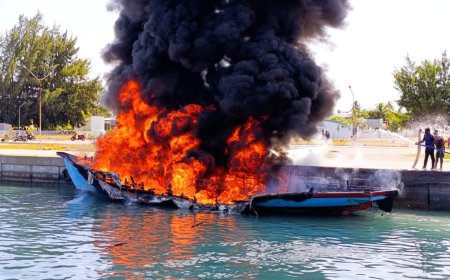 ވިލުފުށި ބަނދަރުގައި އޮތް ތެޔޮ ބޯޓުގައި އަލިފާން ރޯވެއްޖެ