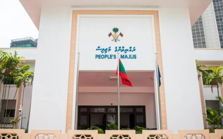 Resolution to reduce number of council seats open for public opinion