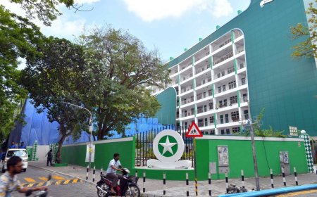 ކެންސަރު ބަލީގެ ވެކްސިން 505 ދަރިވަރަކަށް ދީފި