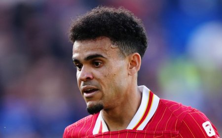 Liverpool Reject Bayern Munich Approach for Luis Díaz