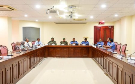 ސްކޭމްތައް ހުއްޓުވުމަށް ބޭއްވި މަޝްވަރާ ކޮމިޓީ ސިއްރުކޮށްފި