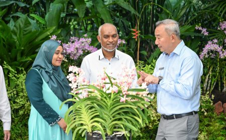 ފެށިގެން މިދިޔައީ ރާއްޖެއާއިސިންގަޕޫރުގެ ގުޅުމުގެ އާ ބާބެއް: ރައީސް