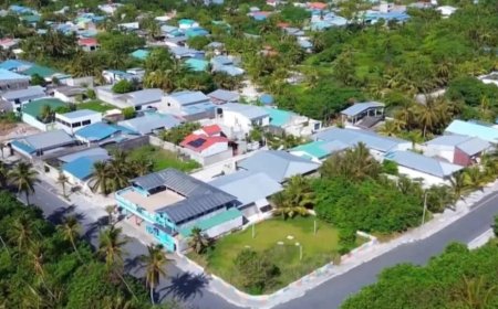 ބާރު ސްޕީޑުގައި ދުއްވި ސައިކަލަކުން ޖެހި އުމުރުން ދުވަސްވީ މީހަކަށް އަނިޔާވެއްޖެ