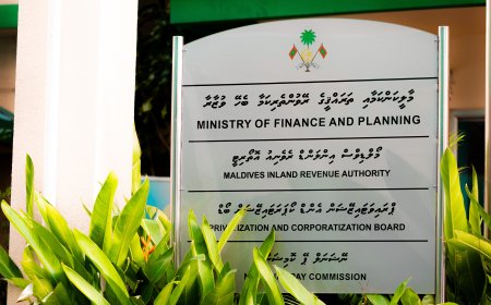 އެސްއޯއީތަކުން ލިބުނު އާމްދަނީ 36 އިންސައްތަ ދަށަށް