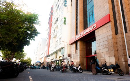 The List BML Never Published: 501 Merchants, Seven Fee Bands, Zero Public Notice