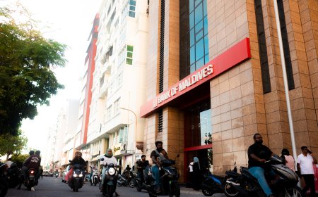 އެސްޑީއެފްސީގެ ސަރުކާރުގެ ހިއްސާ ބީއެމްއެލްއަށް ވިއްކާލަނީ