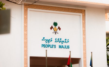 ގުނަވަން ބަދަލުކުރުމުގެ ބިލު އަނބުރާ މަޖިލީހަށް