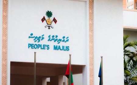 ޒާތީ މައުލޫމާތު ރައްކާތެރިކުރުމުގެ ބިލަށް އާންމުންގެ ހިޔާލު ހޯދަނީ