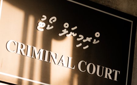ފުލުހުންގެ ވާޖިބަށް ހުރަސް އެޅި މީހަކަށް ބޮޑު ޖޫރިމަނާއެއް