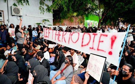 ޝިމަން އާއި މަހްޒޫމްއަށް ދަޢުވާކުރީ ނަސޭހަތުގެ އެއްބަސްވުމުގައި ސޮއިނުކުރުމުން: ޕީޖީ