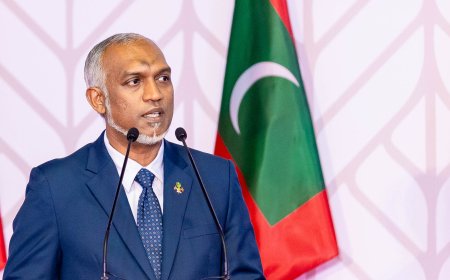 ދިވެހި ތަރިކަ ދިރާސާ ކުރާ ގައުމީ މަރުކަޒެއް އުފައްދައިފި