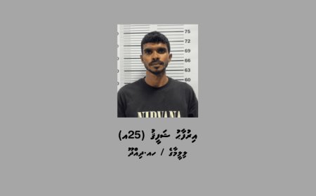 ދިއްދޫއިން މަސްތުވާތަކެއްޗާއެކު ޒުވާނަކު ހައްޔަރުކޮށްފި
