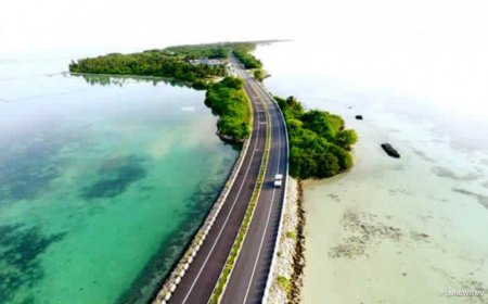 ގަމު ލިންކްް ރޯޑުގައި ހިނގި އެކްސިޑެންޓެއްގައި ދެމީހަކަށް އަނިޔާވެއްޖެ
