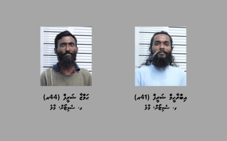 މަސްތުވާތަކެތީގެ ވިޔަފާރިކުރާ ދެ މީހަކު މާލެއިން ހައްޔަރުކޮށްފި