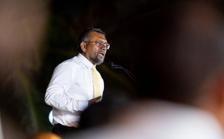‘Orwellian’: Fayyaz Ismail Condemns Muizzu’s Expat Enforcement Policy