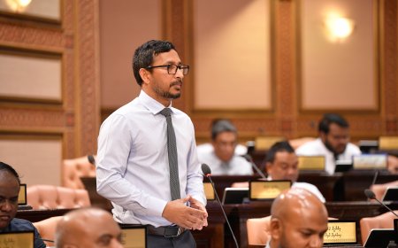 ޔާމީން ރައީސްކަމުގަ ހުރިއިރު ބަލިވެގެން ކަމަށް ހަދާފަ ސިންގަޕޫރަށް ދަނީ ވަގު ޑީލު ހަދަން: ފަލާހު
