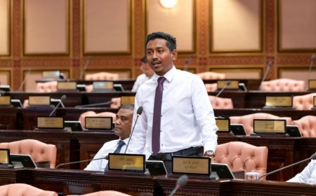 އެމްޑީޕީ ސިފަވަނީ ޢާއްމު މެންބަރުން ވިއްކައިގެން ހިންގާ ކުންފުންޏެއް ގޮތުގައި: މަމްދޫހު