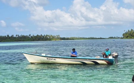 ޒަކަރިއްޔާ މުޙައްމަދު ހޯދުމަށް ކަނޑުމަގުންނާއި ވައިގެމަގުން ބޮޑު ސަރަހައްދެއް ބަލައިފިން: އެމްއެންޑީއެފް