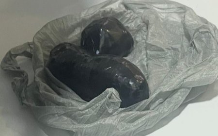 މުކުރިމަގު ބަނދަރުން ގިނަ އަދަދެއްގެ މަސްތުވާތަކެތި އަތުލައިގަނެފި