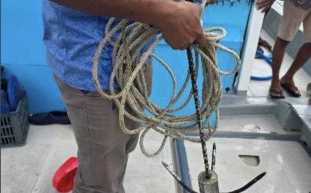 ގެއްލިގެން ހޯދާ މީހާ ދުއްވި ޑިންގީގެ ނަގިލި ފެނިއްޖެ