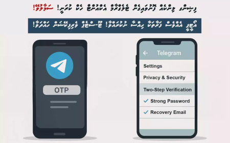 ޕިޝިންގ ލިންކު މެދުވެރިކޮށް ޓެލެގްރާމް ހެކްކުރާތީ ސަމާލުވާން އިލްތިމާސްކޮށްފި