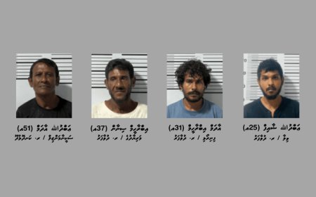 މަސްތުވާތަކެއްޗާއެކު ދުވާފަރުން ހަތަރު މީހަކު ހައްޔަރުކޮށްފި