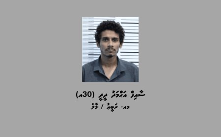 ސީރިއަލް ސްކޭމަރެއް ހައްޔަރުކޮށްފި