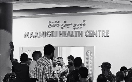 މާމިގިލިން ގެއްލުނު ކުއްޖާ މޫދު އަޑީގައި ނިޔާވެފައި އޮއްވާ ފެނިއްޖެ