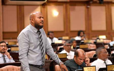 ސަރުކާރުން ޓްރޭޑްމާކް ބިލު ހުށަހެޅީ ދިވެހި ވިޔަފާރިވެރިން ހިމާޔަތް ކުރުމަށް: ޝުޖާއު