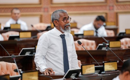 ކަންކަން ހިންގަން ނޭނގޭ ހާލު ވެރިކަމުން ފައިބަން ވެއްޖެ: މެމްބަރު ޒިޔާދު