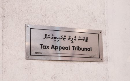 ޓެކްސް އެޕީލް ޓްރައިބިއުނަލްގެ މެންބަރުކަމަށް ކުރިމަތިލުމަށް ހުޅުވާލައިފި