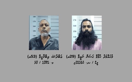 ކުޅުދުއްފުއްޓަށް މަސްތުވާތަކެތި އެތެރެކުރަން އުޅުނު 2 މީހަކު ހައްޔަރުކޮށްފި