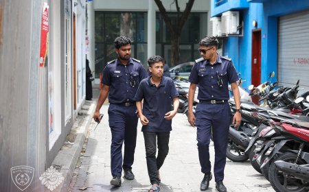 ޤަވާއިދާ ޚިލާފަށް މަސައްކަތް ކުރަމުންދިޔަ 10 ބިދޭސީން ހިފަހައްޓައިފި