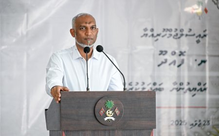 ފޮއްދޫގެ ކަންކަމުގައި އައްބާސްގެ އެއްބާރުލުން ނުލިބޭ: ރައީސް