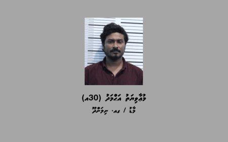 ހަތަރު ކިލޯއަށްވުރެ ގިނަ މަސްތުވާތަކެއްޗާއެކު މީހަކު ހައްޔަރުކޮށްފި
