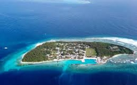 ގޭސްފުޅި ގޮވައި ފިހުނު ދެ މީހުން އައިސީޔޫގައި ފަރުވާދެނީ