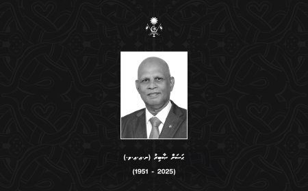 ސޯބިރު އަވަހާރަވުމުގެ ހިތާމައިގައި ގައުމީ ދިދަ ބައި ދަނޑިއަށް