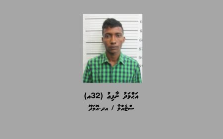 މަސްތުގެ ހާލަތުގައި ހުރެ ކޮޓަރިއެއްގައި ރޯކޮށްލި މީހަކު ހައްޔަރުކޮށްފި