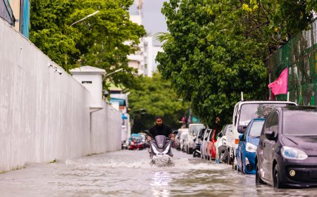 ރާއްޖޭގެ ބޮޑު ބަޔަކަށް ވައިޓް އެލާޓު ނެރެފި