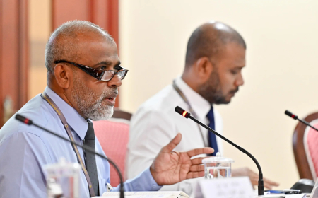 އެޗްޑީސީއަށް ޒުހައިރު، އާރުޑީސީއަށް ނަޘީމް އައްޔަން ކޮށްފި