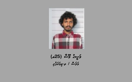 ރައީސްއަށް މަރުގެ އިންޒާރު ދިން މީހާ ދިހަ ދުވަހަށް ބަންދުކޮށްފި
