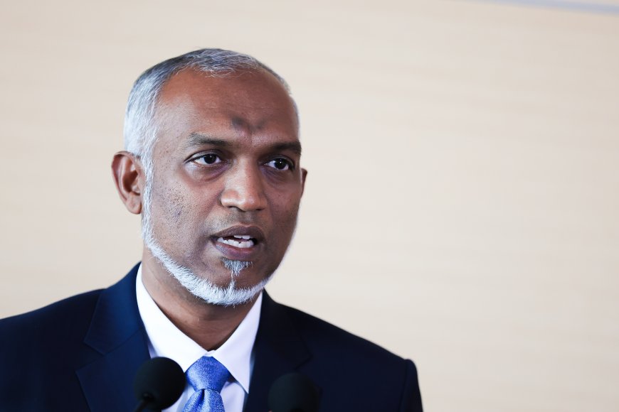 ފީނަން ފޭބި ކުއްޖާ ނިޔާވި ހަބަރު އެހީ ނުތަނަވަސް އިހްސާސްތަކަކާއެކު: ރައީސް